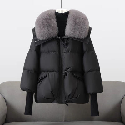 Valine - Elegant Glamour Jacket